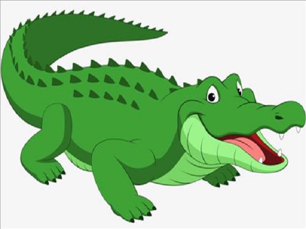 Chiêm bao thấy cá sấu là điềm gì ? đánh con gì chắc ăn nhất ?