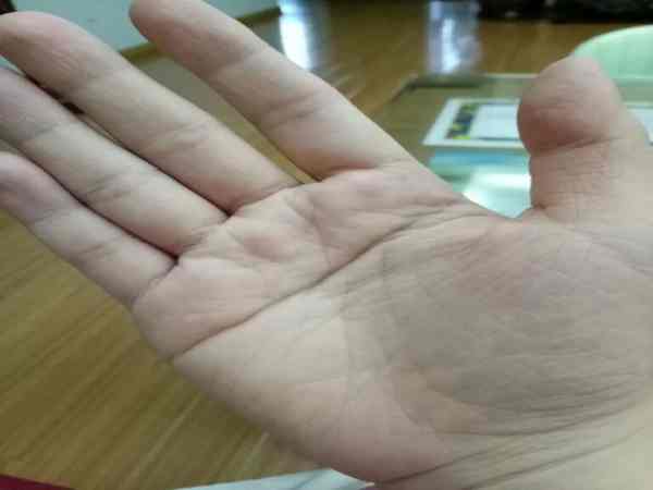 Sự nghiệp Sự nghiệp bàn tay chữ nhất Sự nghiệp bàn tay chữ nhất