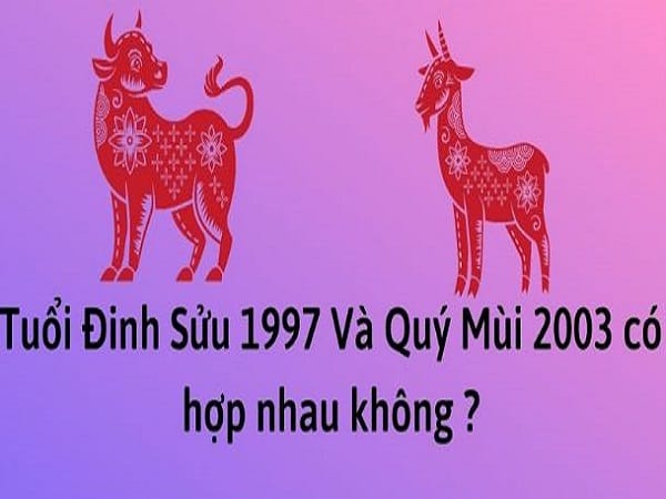 Luận giải tuổi sửu 1997 có hợp với tuổi mùi 2003 không?