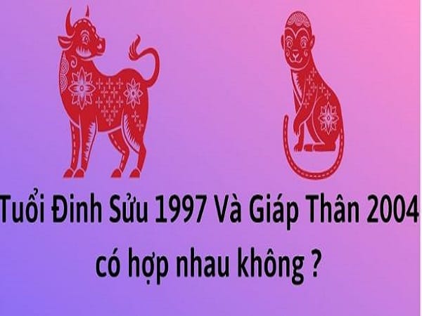 Phân tích tuổi thân 2004 có hợp với tuổi sửu 1997 không