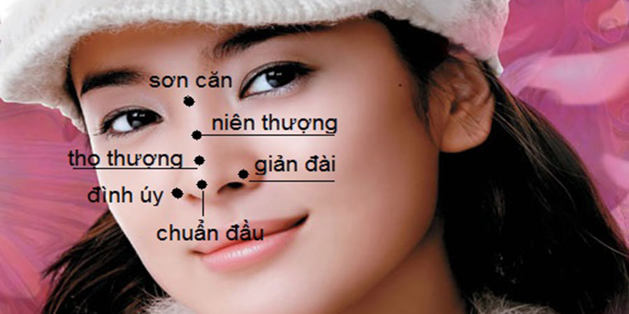 Sự nghiệp người có tướng mũi chó Sự nghiệp người có tướng mũi chó