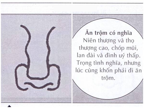 Tướng mũi chó là gì