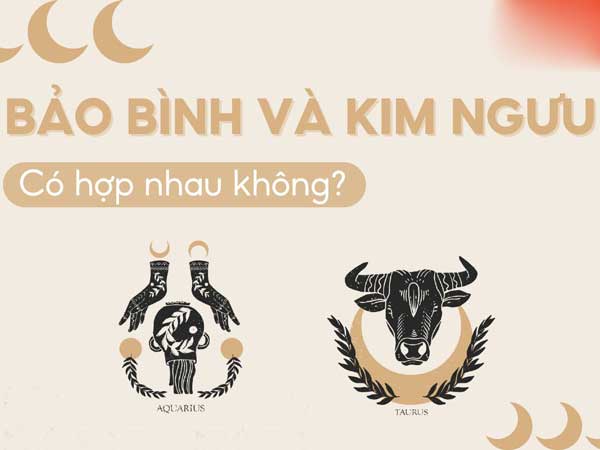 Cung Bảo Bình có hợp với cung Kim Ngưu không?