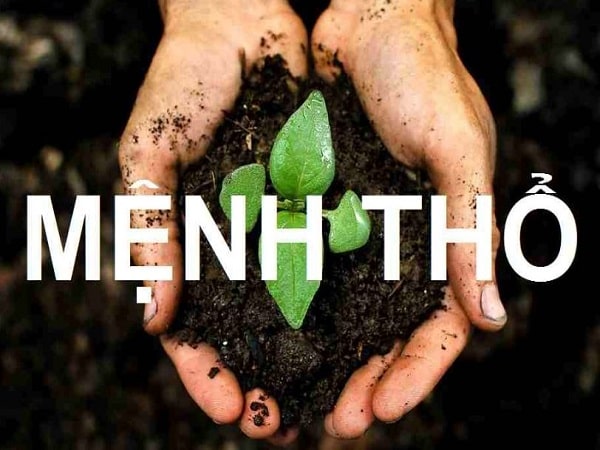  Đặc điểm tổng quan về mệnh Thổ trong ngũ hành