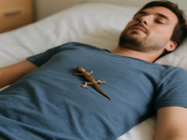 Ý nghĩa của thằn lằn trong phong thủy và tâm linh