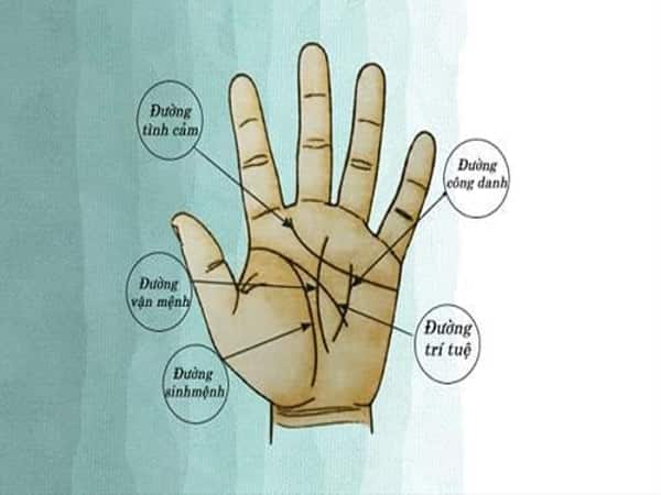 Chỉ tay có vong nhi theo là gì?