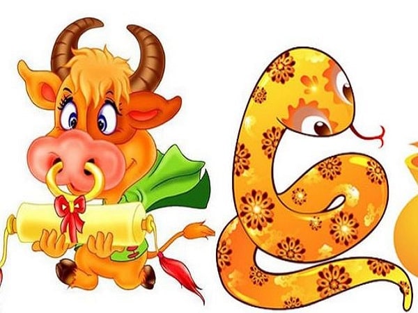 Tổng quan về tuổi Sửu và tuổi Tỵ