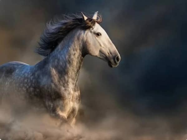 Sinh năm 2002 hợp tuổi nào nhất trong sự nghiệp?