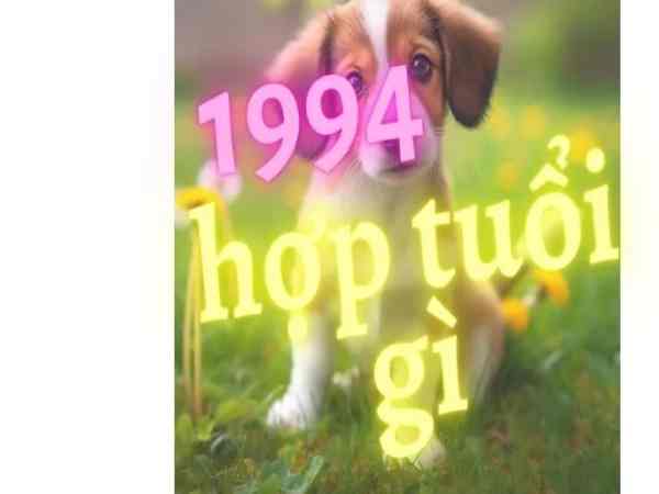 Nữ 1994 hợp tuổi nào trong làm ăn, kinh doanh?