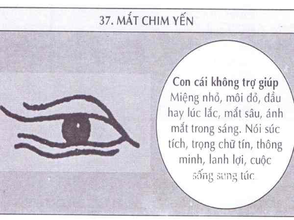 tướng mắt chim yến