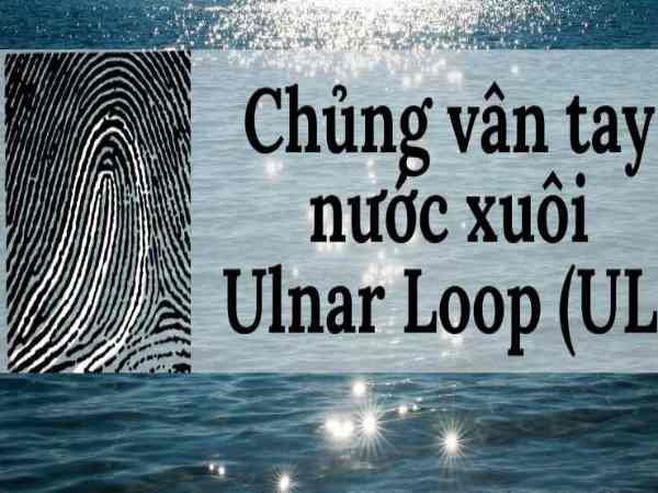 Tính cách người có vân tay nước xuôi: Tính cách người có vân loop xuôi