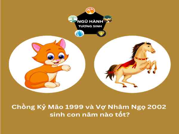 Chồng 1999 vợ 2002 sinh con năm nào?