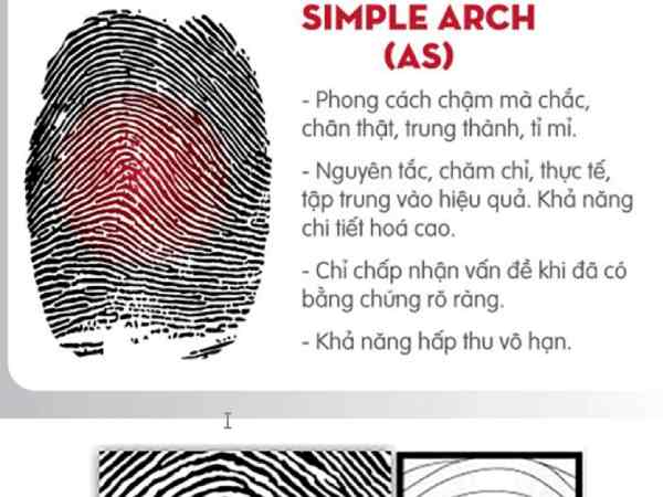 Chủng vân tay AS (Simple Arch) Chủng vân tay AS (Simple Arch)