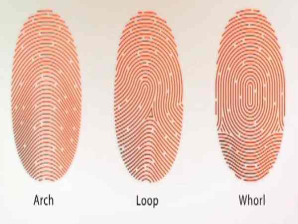 Giải mã chủng vân tay nước của người linh hoạt và ôn hòa