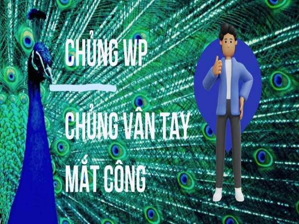 vân tay mắt công