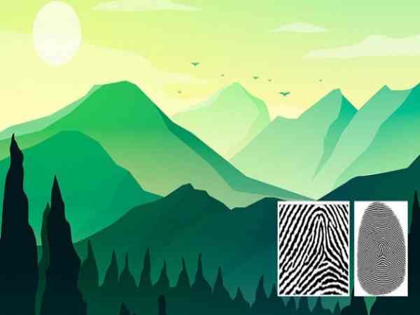 chủng vân tay núi