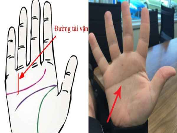 Xem đường chỉ tay giàu có luận tính cách vận mệnh, tình duyên