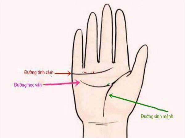 Ý nghĩa tổng quát của đường trí đạo Ý nghĩa tổng quát của đường trí đạo