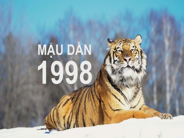 Tổng quan tuổi Mậu Dần 1998