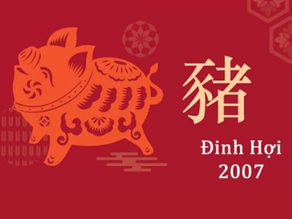 Tổng quan tuổi Đinh Hợi 2007