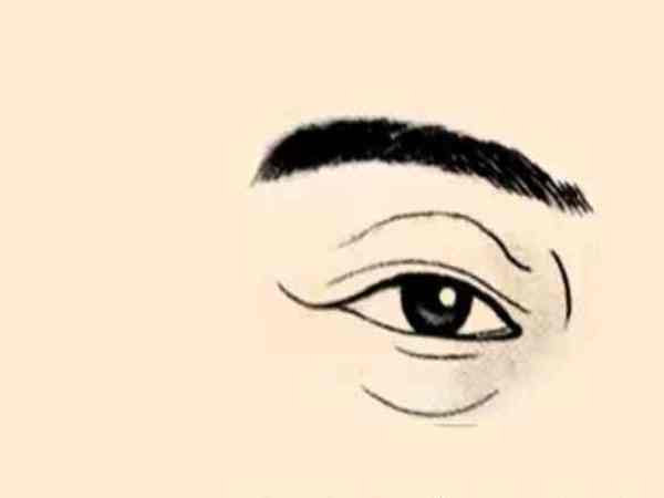 Mắt chim yến là gì? Mắt chim yến là gì?