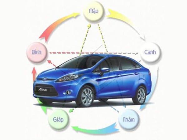 1994 hợp xe màu gì