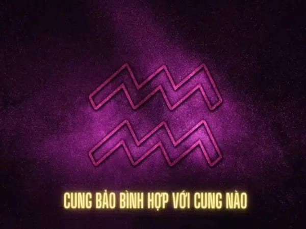 Bảo Bình hợp với cung hoàng đạo nào nhất?
