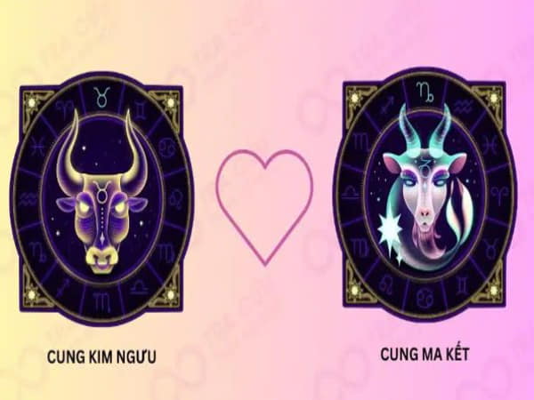 Ma Kết nam hợp với cung nào nhất trong tình yêu?