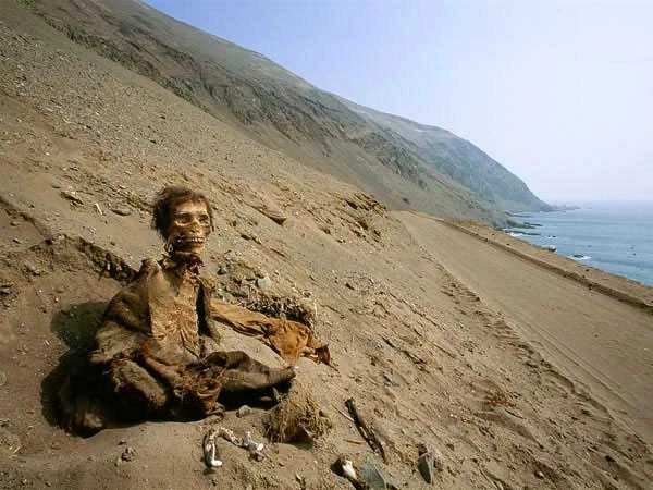 Nằm mơ thấy xác chết là điềm báo gì có số gì phát lộc