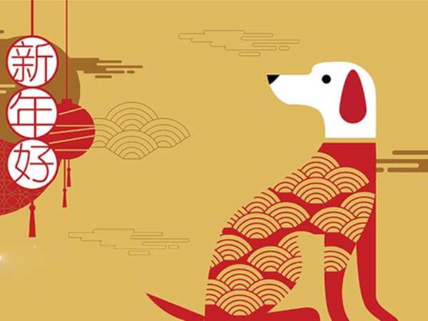 Luận con số tài lộc tuổi Giáp Tuất Thứ 2 ngày 2/3